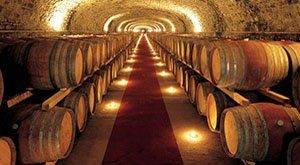 Wine Tours