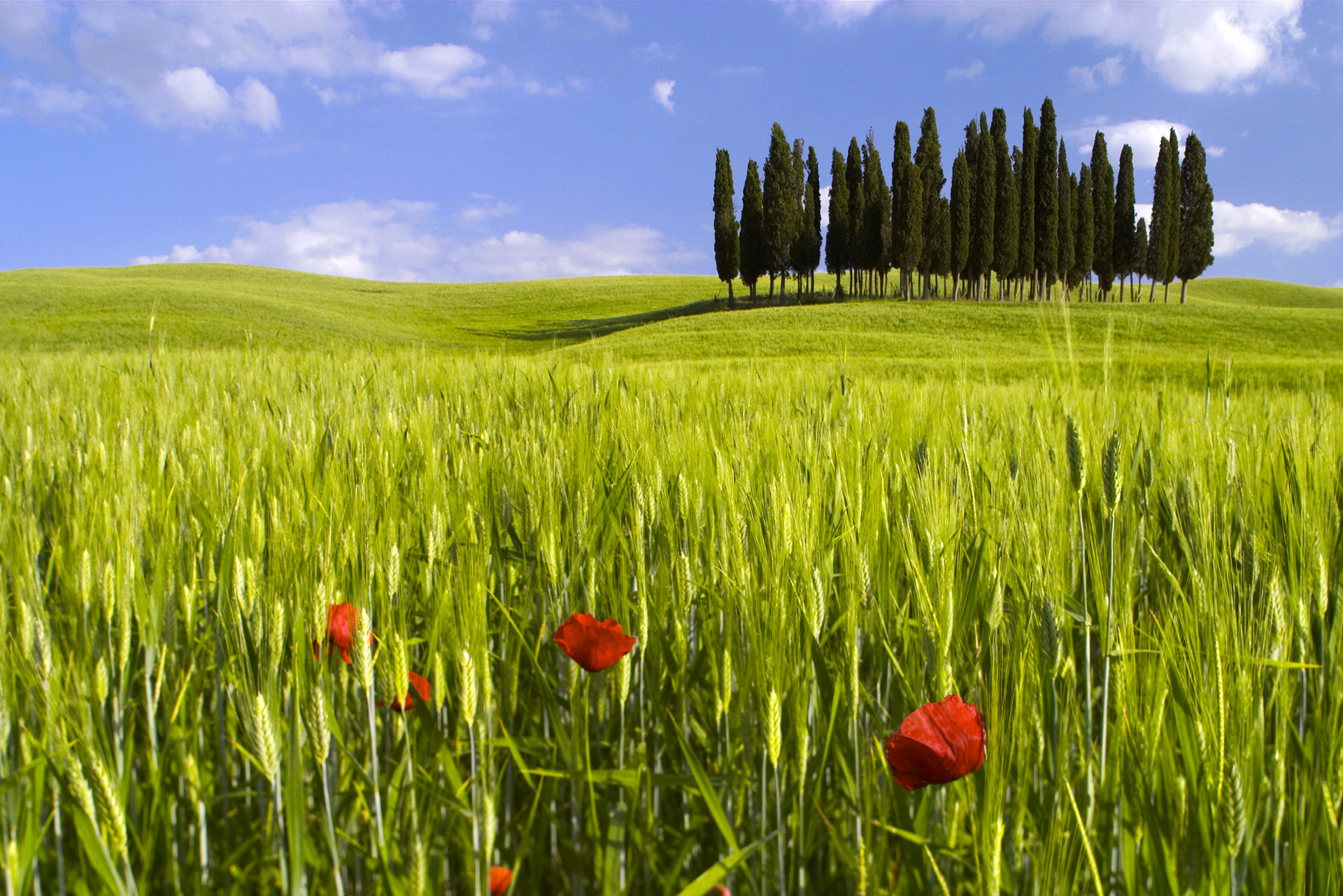 val d'orcia