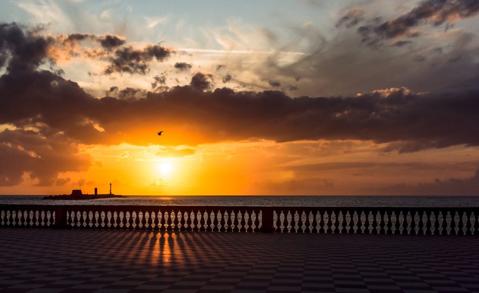 Six Amazing Things You Should Know about Livorno