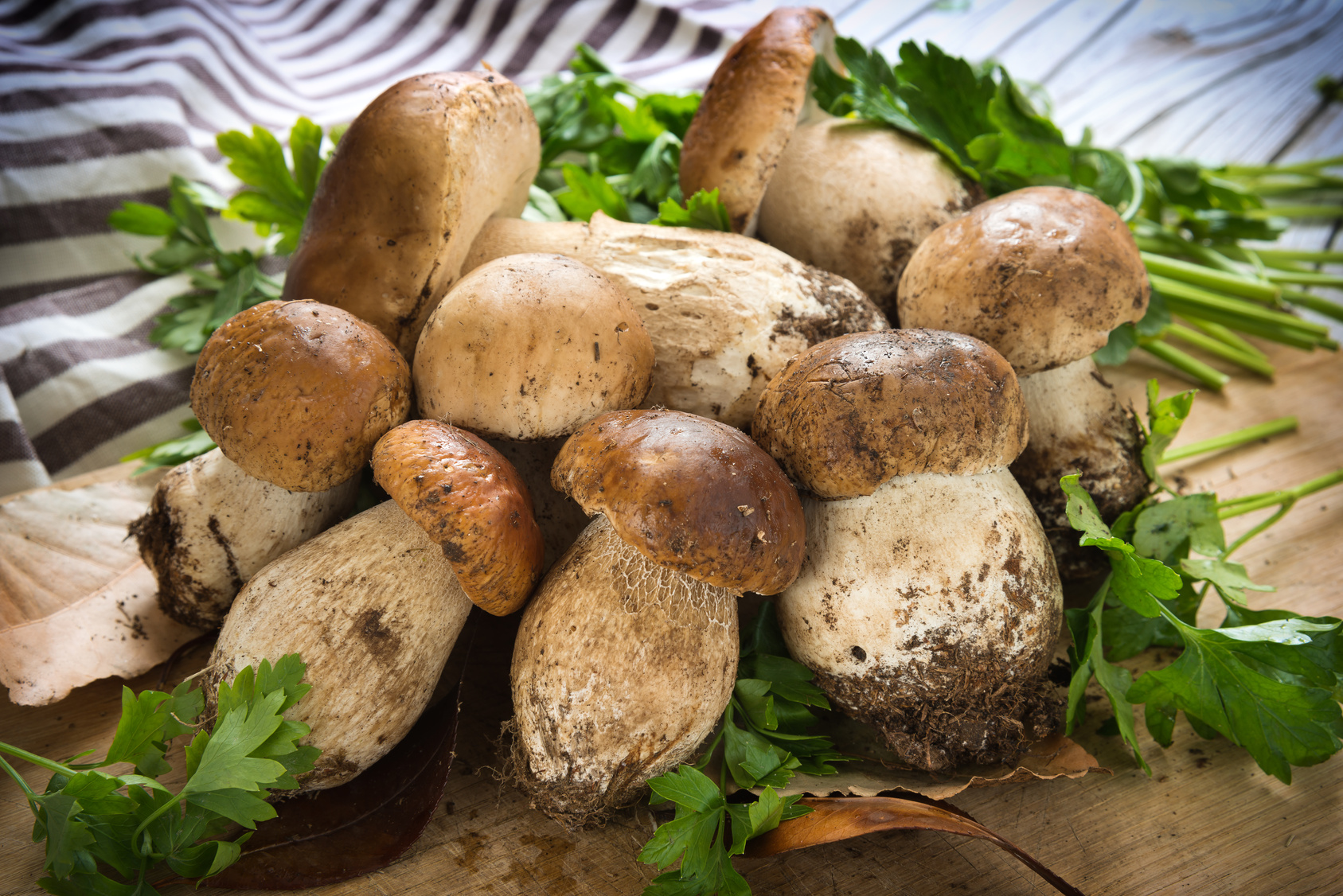 Funghi Fritti – A Recipe