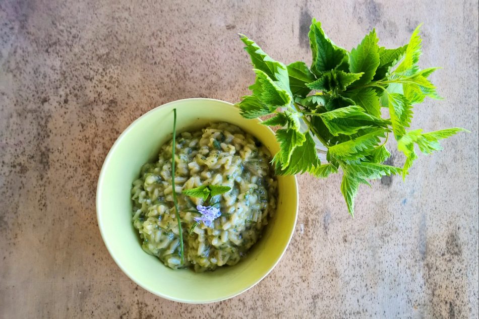 Risotto all’Ortica – A Traditional Tuscan Recipe
