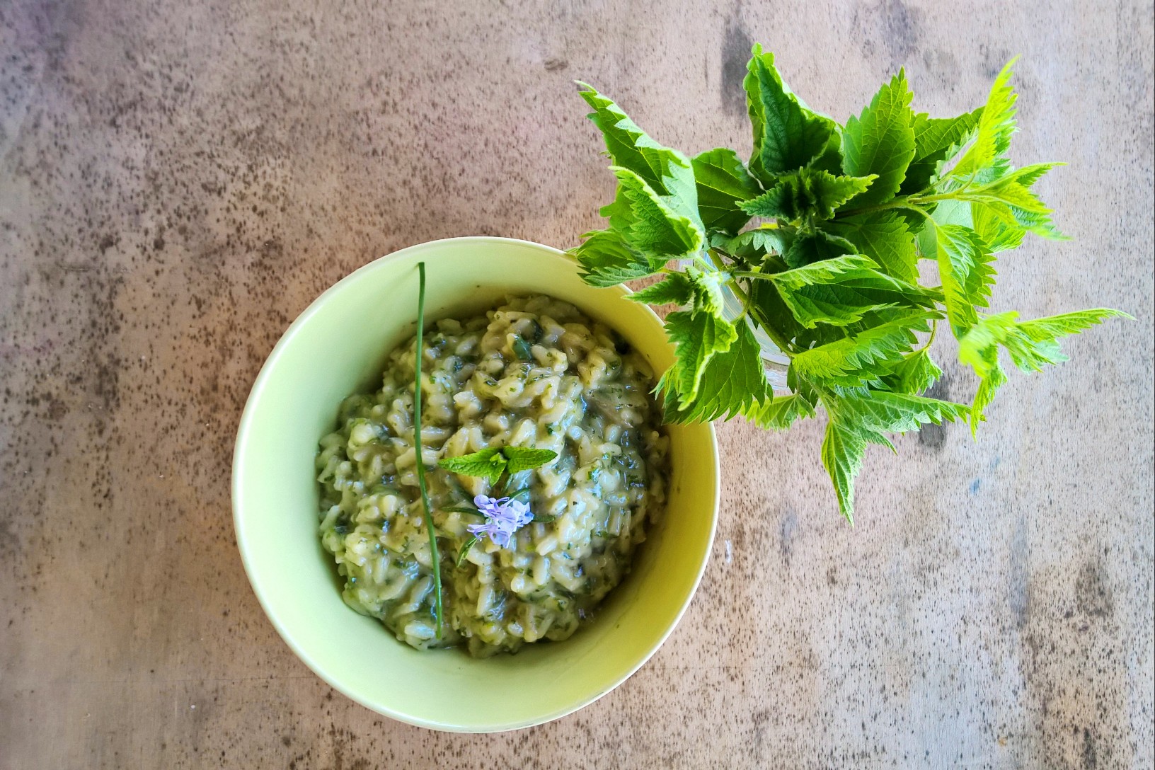Risotto all’Ortica – A Traditional Tuscan Recipe