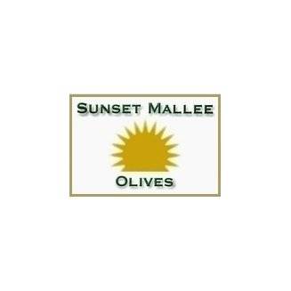 Sunset Mallee Olives