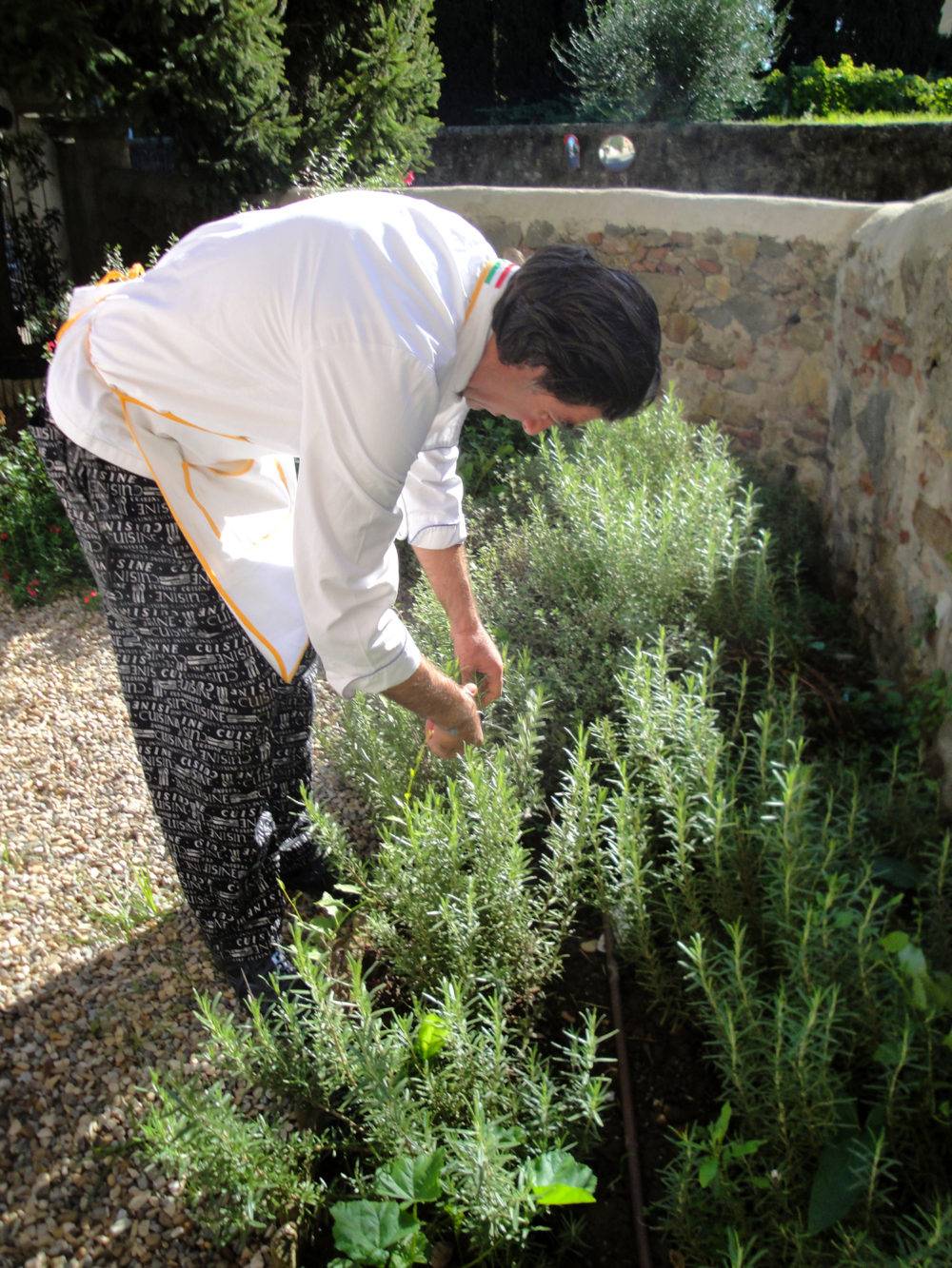 Chef Picking up Rosemary for cooking