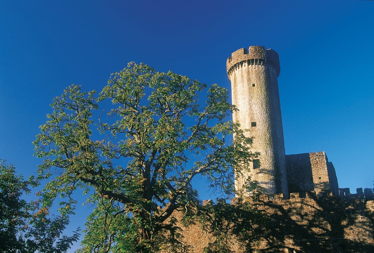torre di codiponte