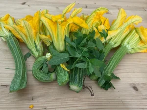 zucchini-flowers-in-italian-cuisine-a-delicacy