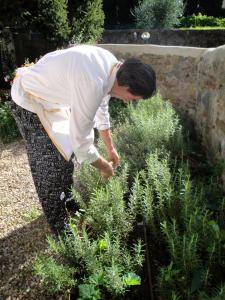 Chef-picks-up-the-fresh-rosemary-for-cooking